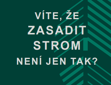 Víte, že zasadit strom není jen tak?